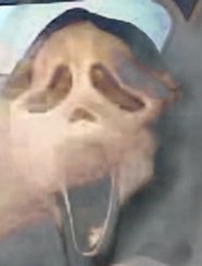 Poster do filme GRIPPERS NOTHER ONESERS ———- (AT SLIMER BEACH)