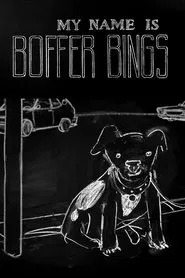 My Name Is Boffer Bings movie poster