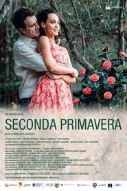 Poster do filme Second Spring