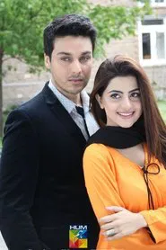 Khoya Khoya Chand tv show poster