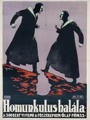 Poster do filme Homunculus