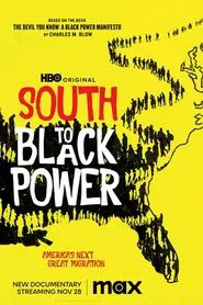 South to Black Power movie poster