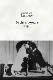 Poster do filme Les chats boxeurs