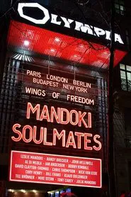 ManDoki Soulmates: Wings Of Freedom movie poster
