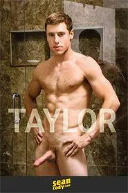 Poster do filme Taylor