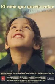 The Boy Who Wanted to Fly movie poster