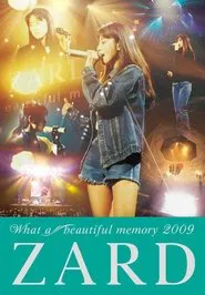 ZARD What a beautiful memory 2009 movie poster