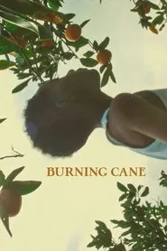 Burning Cane movie poster