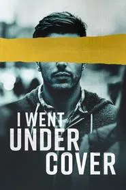 I Went Undercover tv show poster