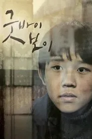 Poster do filme Goodbye, Boy
