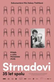 A Marriage Story movie poster