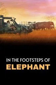 In the Footsteps of Elephant movie poster