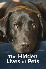 The Hidden Lives of Pets tv show poster