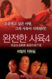 Perfect Education 4: Secret Basement movie poster