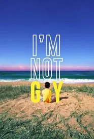 I'm Not Gay movie poster