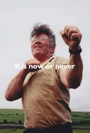It's Now or Never movie poster