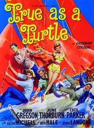 Poster do filme True as a Turtle