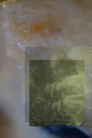 Poster do filme If I could name you myself (I would hold you forever)