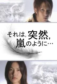 It was sudden, like a storm... tv show poster