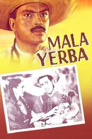 Mala yerba movie poster