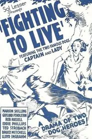 Poster do filme Fighting to Live