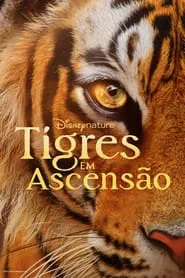 Poster do filme Tigres em Ascensão