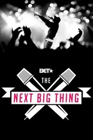 The Next Big Thing tv show poster