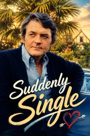 Suddenly Single movie poster
