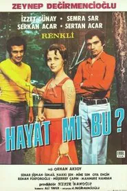 Poster do filme Hayat Mı Bu