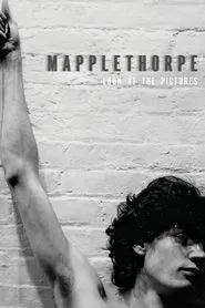Mapplethorpe: Look at the Pictures movie poster