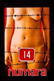 Number 14 movie poster