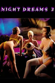 Night Dreams 2 movie poster
