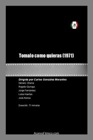 Take It as you Like movie poster