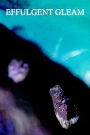Poster do filme Effulgent Gleam