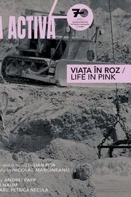 Life in Pink movie poster