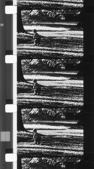 Poster do filme Envío 3