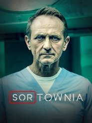 Triage tv show poster