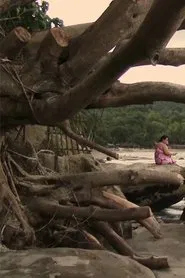 Describe the Color Red to a Blind Man movie poster