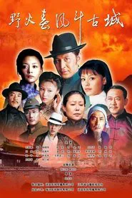 Poster da série 野火春风斗古城