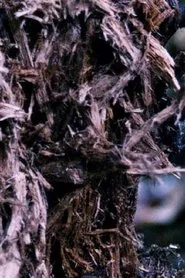 La main du rêve movie poster