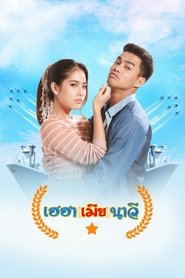 Hilarious Navy Wife tv show poster