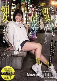 I Just Want To Be Fucked By Nozomi Ishihara In Our Private Home Until The Sun Rises. movie poster