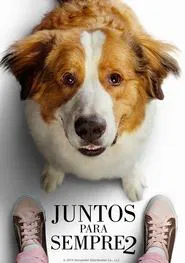 Poster do filme Juntos para Sempre