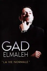 Poster do filme Gad Elmaleh - La Vie normale