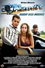 Poster do filme Bandit: De Volta às Origens
