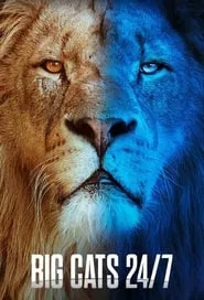 Big Cats 24/7 tv show poster