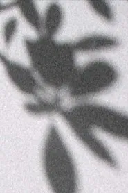 Chances de luz movie poster