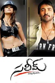 Poster do filme Saleem