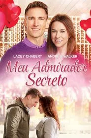 Poster do filme Meu Admirador Secreto