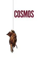 Cosmos movie poster